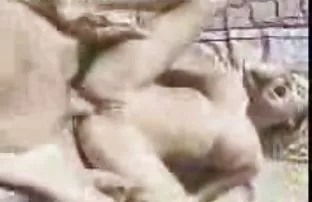 XXX వేడి మిరియాలు banged పాయువు failsafe whores